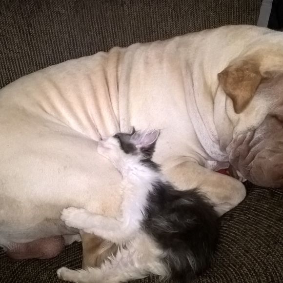 Meet your Posher, Mark - Picture 1 of 1